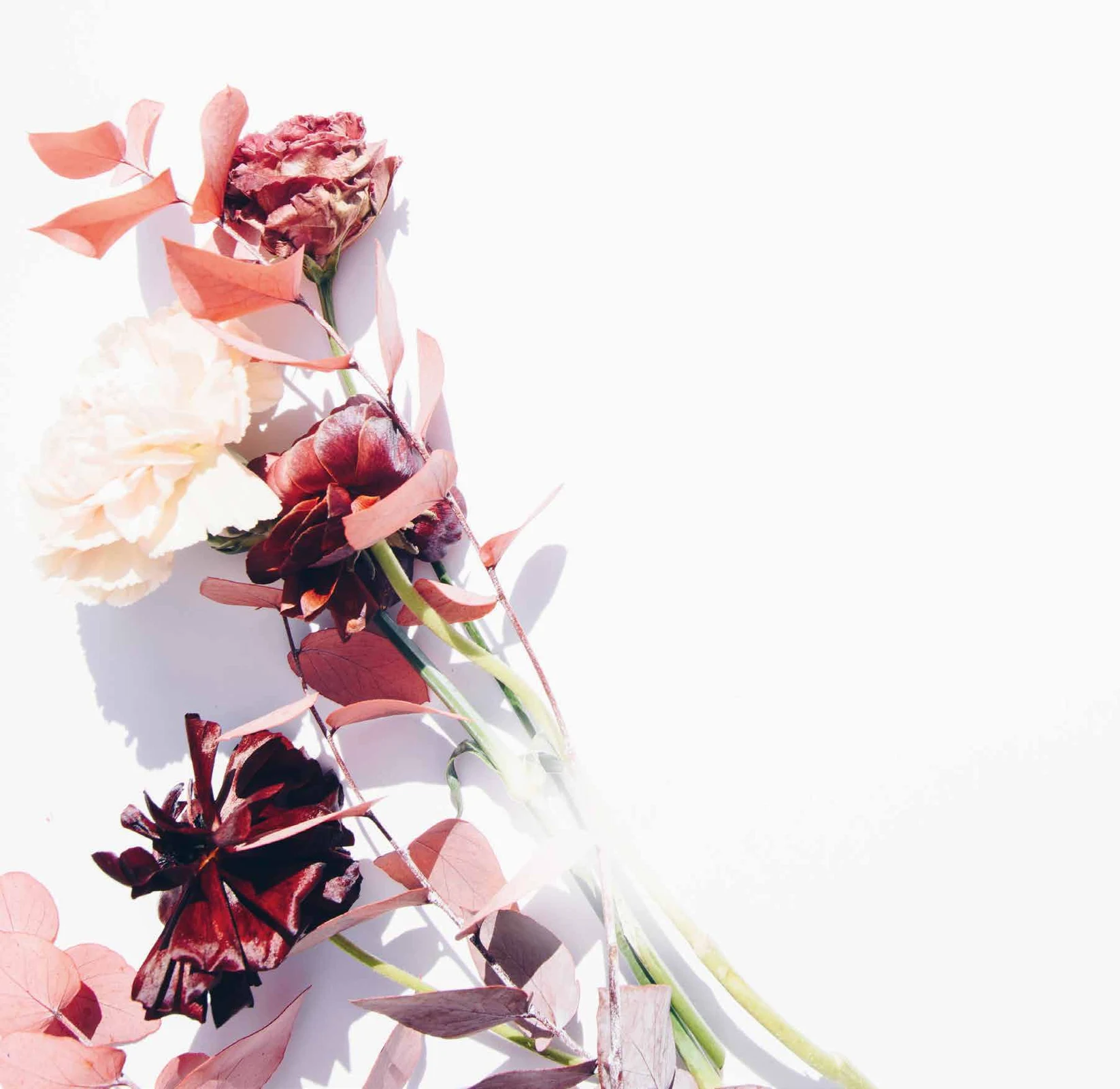 Bloemen en bladeren als wellness-sfeerbeeld